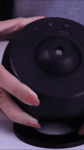 GIF Animado