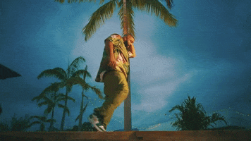 Dj Khaled Wild Thoughts GIF by Rihanna