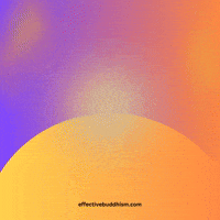 effectivebuddhism mindfulness enlightenment innerpeace spiritualjourney GIF