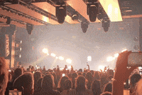 whereiskapa concert nightlife GIF