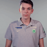 fifa 18 football GIF by VfL Wolfsburg