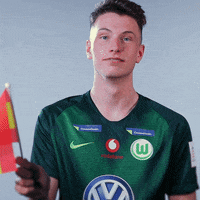 fifa 18 football GIF by VfL Wolfsburg