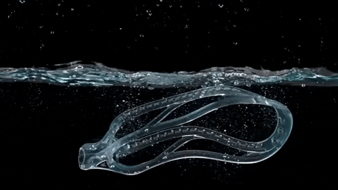 Sport Shooting GIF by ECD Lacrosse