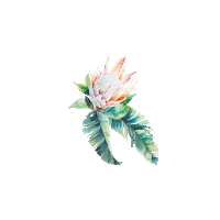 flower sommer Sticker by ICFLeipzig
