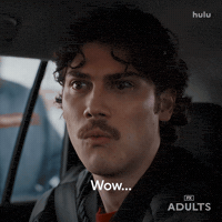 No Way Wow GIF by Adults