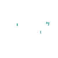 Lizup Sticker by Liz Up Professional
