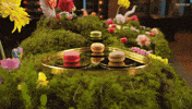 Australia Sweets GIF by MasterChefAU