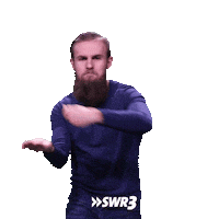 Make It Rain Money Sticker by SWR3