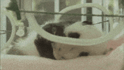 recien nacido GIF by Neon Panda MX