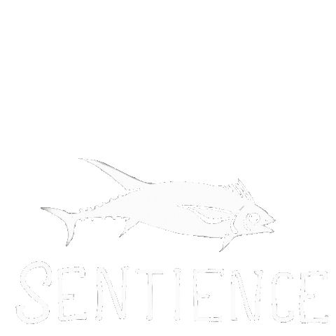 Consciousness Sentience Sticker by ProjetMeduses