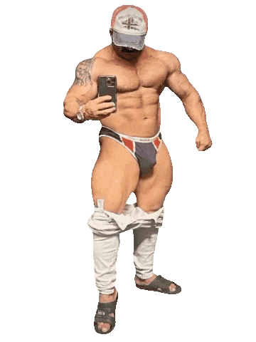 3D Bear Sticker by Database數據