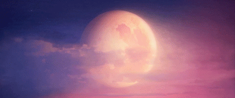 Stop Motion Animation GIF by LAIKA Studios
