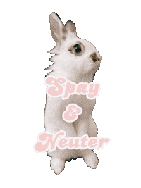 Hop Hopper Sticker