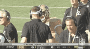 National Football League GIF by NFL