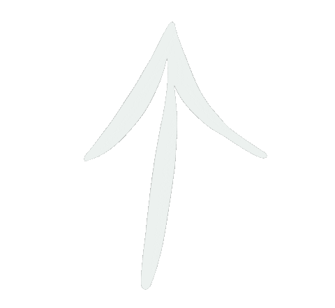 DaniisWays giphyupload white arrow swipeup Sticker