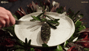 Australia Knife GIF by MasterChefAU