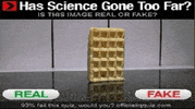 Waffle Seriously GIF