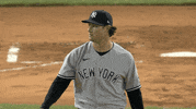 Excited New York Yankees GIF by Jomboy Media