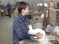 Bunny Rabbit GIF by Texas Archive of the Moving Image