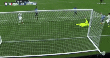 copa america centenario mexico GIF by Univision Deportes