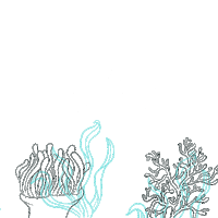 Happy Hour Brasilia Sticker by NAU Frutos do Mar