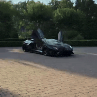 Bara Svj GIF