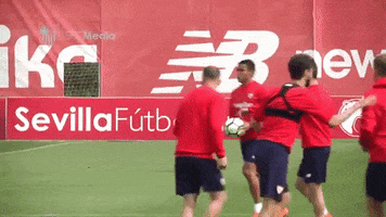 la liga football GIF by Sevilla Fútbol Club