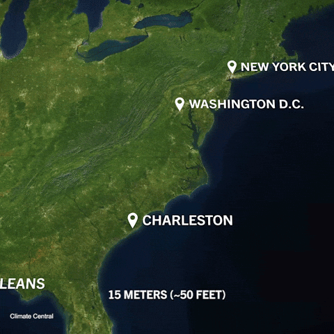 GIF by PBS Digital Studios