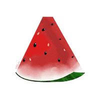 Watermelon Summer Evening Sticker