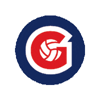 gracevolleyballacademy volleyball academy grace gracevolleyballacademy Sticker