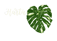 Plant Leaf Sticker