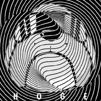 HogeFinanceOfficial psychedelic hoge GIF