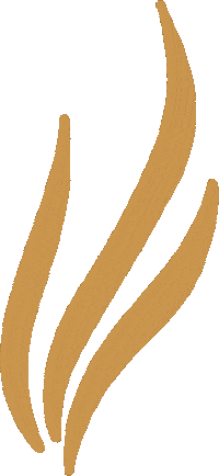 sierrafrostad nature plant natural forest Sticker