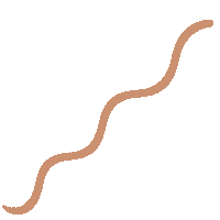 Wave Snake Sticker by BKIND