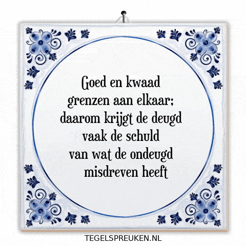 Humor Nl GIF by Tegelspreuken.nl