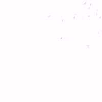W Generation GIF by SocialThinks