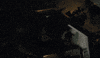 Robert Pattinson Action GIF by The Batman