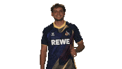 Vbl Gesture Sticker by Bundesliga