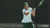 men's tennis wave GIF by GreenWave