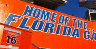 college football stadium GIF by University of Florida