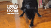 thirty second stories GIF by weinventyou