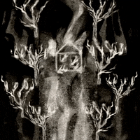 gabrielaorozcoanimation dark hell trees eerie GIF