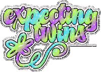 twins STICKER