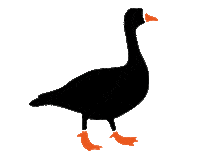 Gg Sticker by Goose and Gander