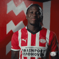 Rode Duivels Home GIF by PSV