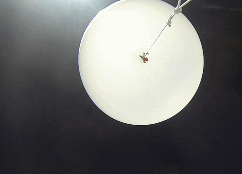 weather GIF