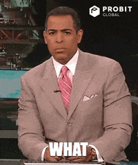 Meme Reaction GIF by ProBit Global