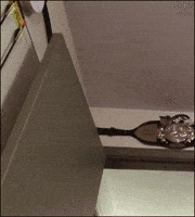 dark souls GIF