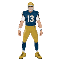 Luck Of The Irish Football Sticker by SportsManias