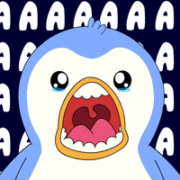 Surprise Omg GIF by Pudgy Penguins